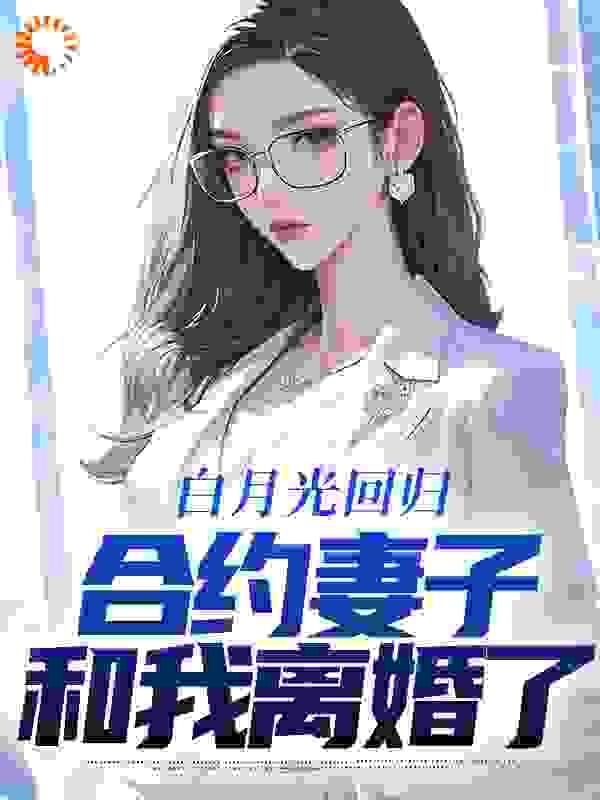 女主夏冉男主傅时域书名