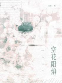 贵妃起居注女主生了几个孩子